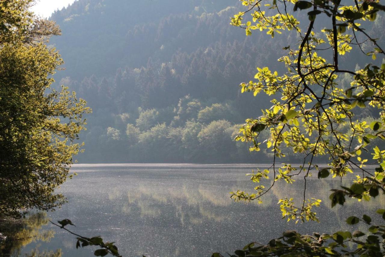 Ferienhaus Lara Heimbach Kültér fotó